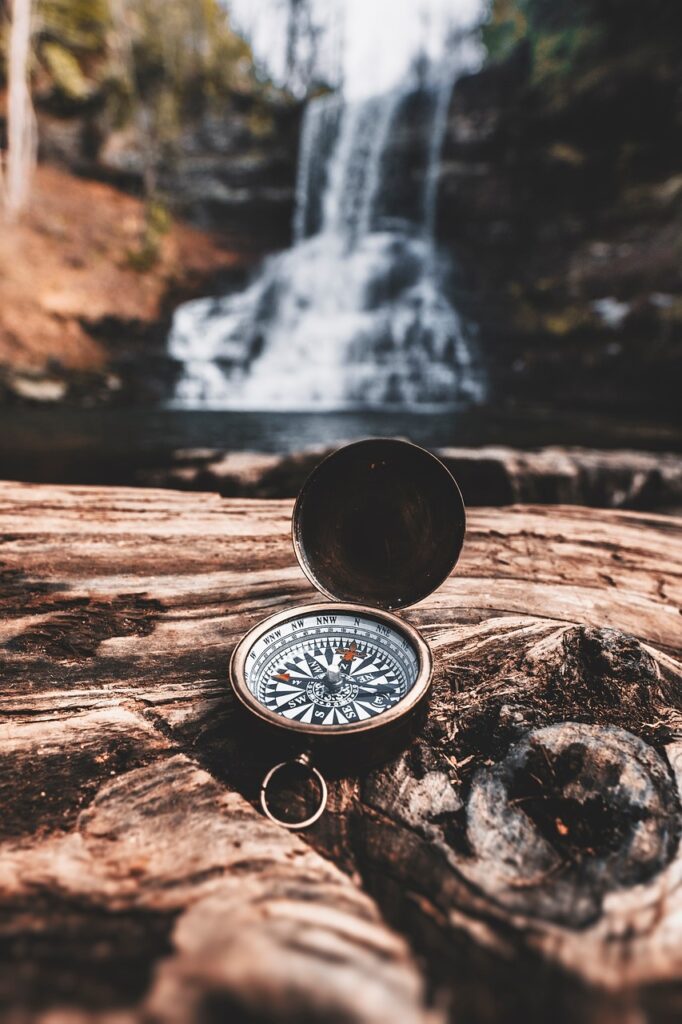 Path 3 compass, nature, survival, trees, forest, wilderness, brown forest, compass, compass, compass, survival, survival, survival, survival, survival